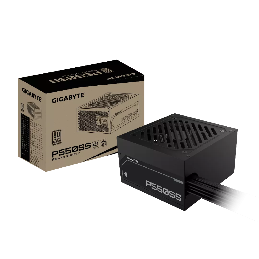 GIGABYTE P550SS Power Supply - PCIe