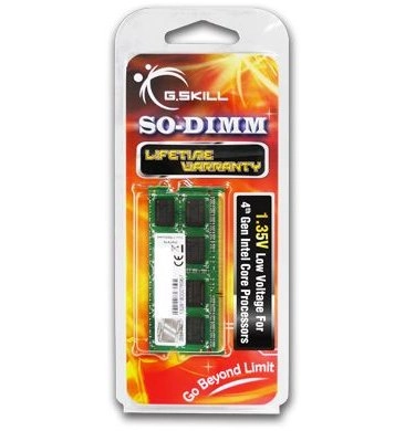 G.Skill 4GB DDR3-1600 memory module