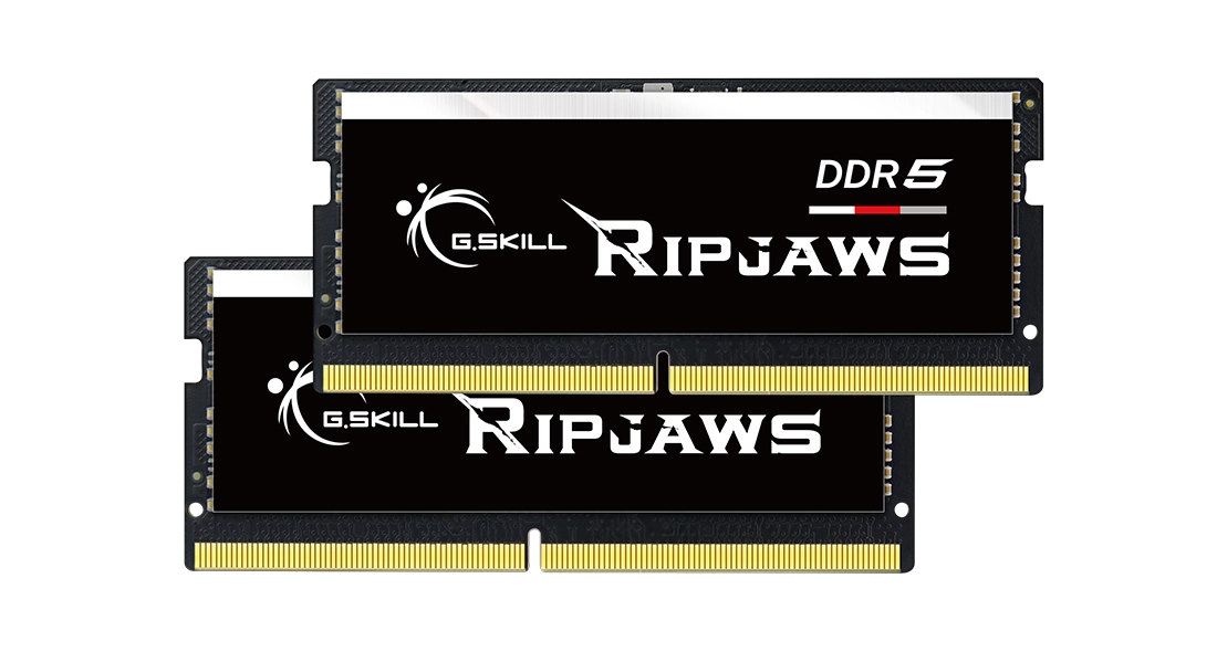 G.Skill Ripjaws F5-4800S4039A32GX2-RS memory module