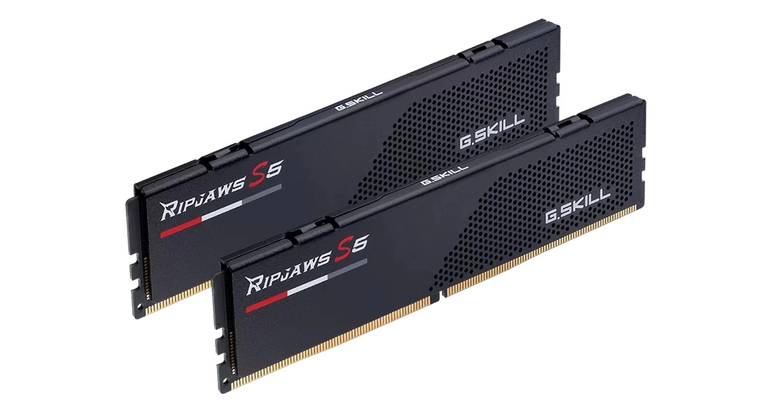 G.Skill F5-6000J3636F16GX2-RS5K memory module 32