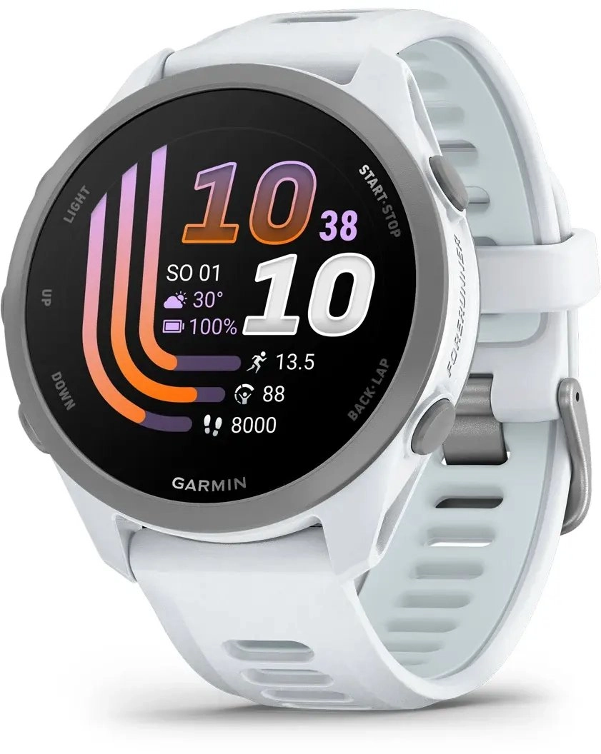 Smart watch Garmin Forerunner 170 Whitestone