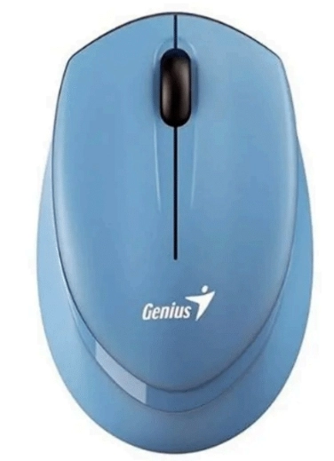 Genius NX-7009 mouse Home Ambidextrous RF
