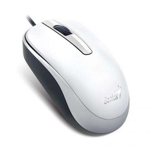 Genius Computer Technology DX-120 mouse Office