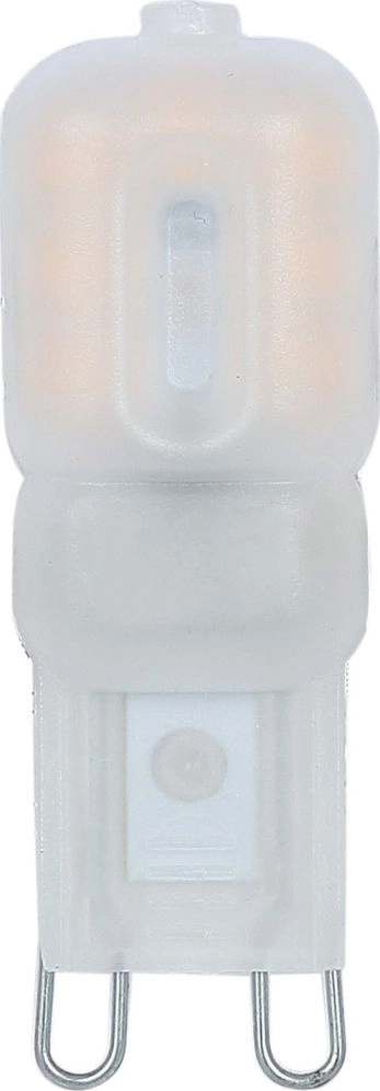 Globo Milky white G4 bulb 2