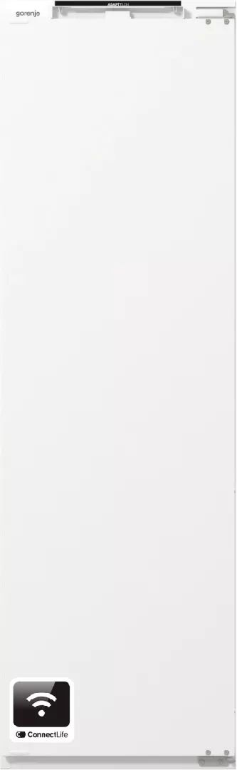 Gorenje RI517E41WF fridge Built-in 300 L
