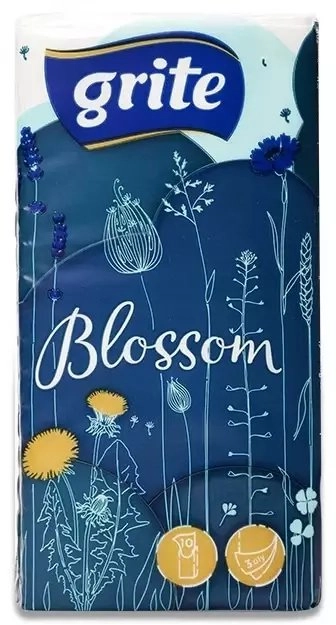 HANDKERCHIEFS GRITE DAILYSOFT 10PCE 15168652 3NBLOS1310