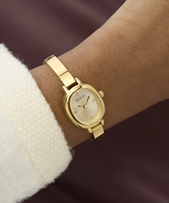 Laikrodis Watches GUESS LADIES GW0924L2 GW0924L2