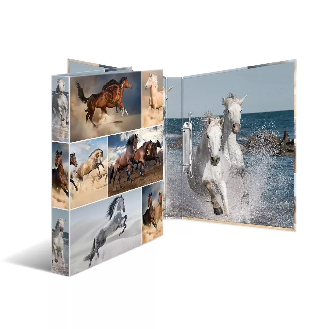 HERMA 19429 ring binder A4 Multicolour