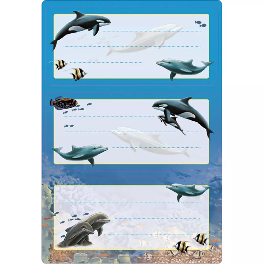 HERMA 5579 self-adhesive label Rectangle Permanent
