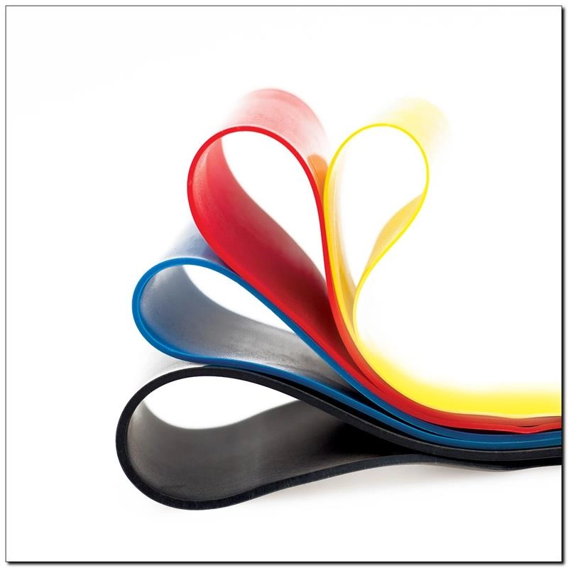 HMS Fitness GU04 SET exercise band