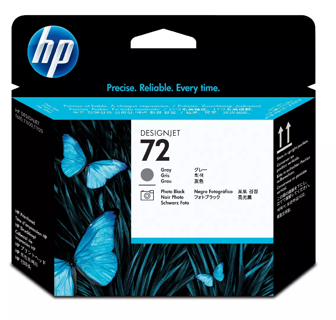 HP 72 Gray and Photo Black