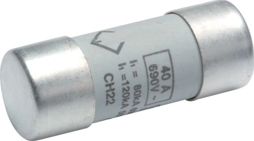 Hager BiWtz cylindrical fuse 22 x
