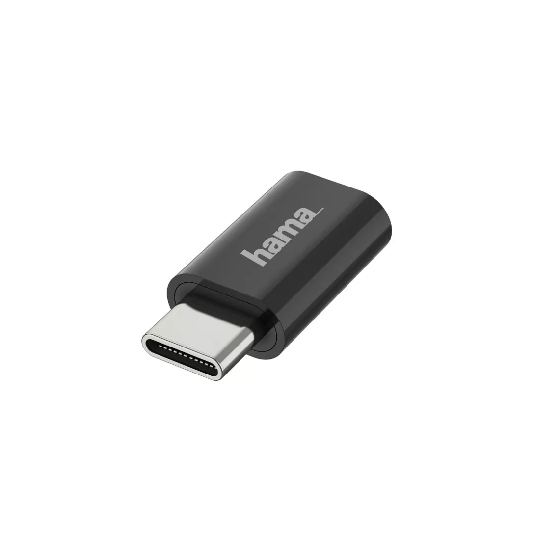 Hama 00200310 cable gender changer Micro