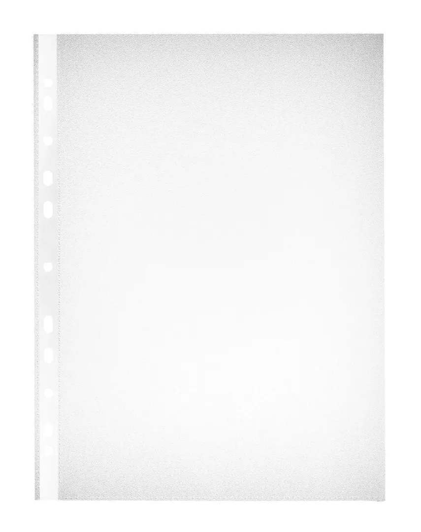 Herlitz 5824008 sheet protector A4 100