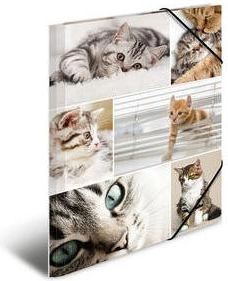 HERMA 19212 folder Cardboard Multicolour A4