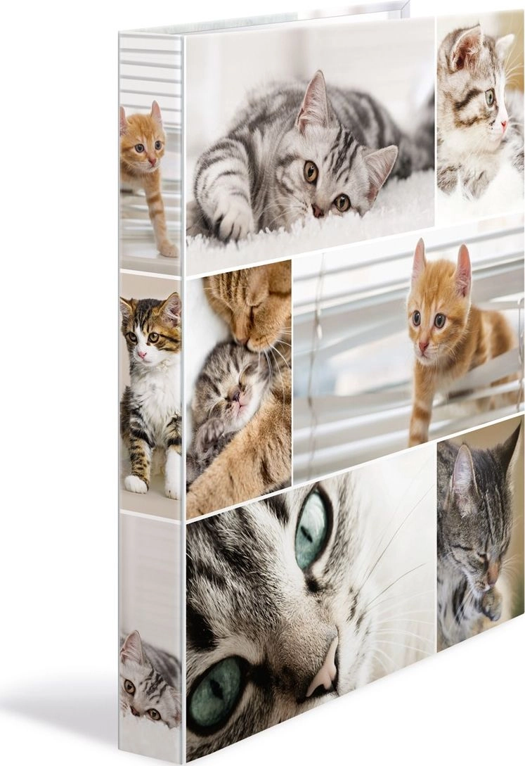 HERMA Ringbuch A4 Katzen 2D 19428