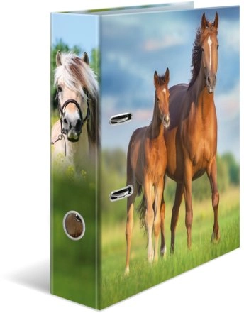 HERMA folder A4 cardboard horse 20097