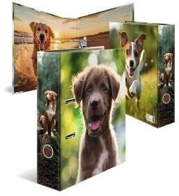 HERMA folder A4 cardboard dog 20098