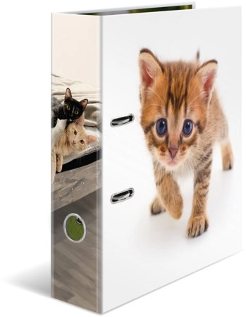 HERMA folder A4 cardboard cat 20099
