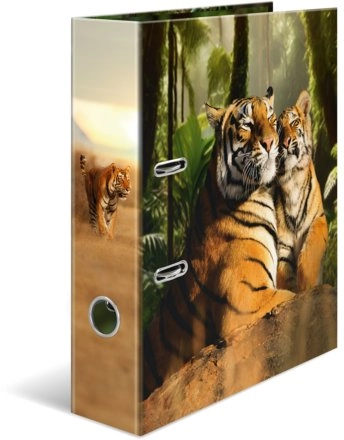 HERMA Folders A4 Carton Tiger 20101