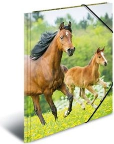 HERMA 7140 folder Polypropylene (PP) Multicolour