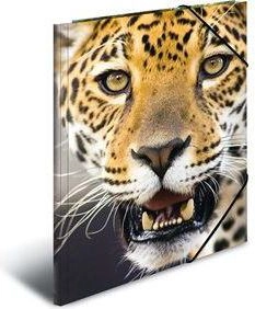 HERMA 7142 folder Polypropylene (PP) Multicolour