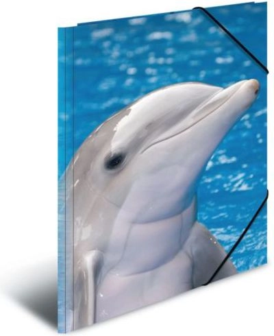 HERMA 7146 folder Polypropylene (PP) Blue