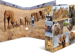 HERMA 7168 ring binder A4 Multicolour