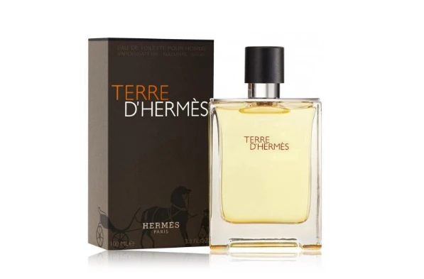Hermes Terre D````Hermes Perfume EDT 100