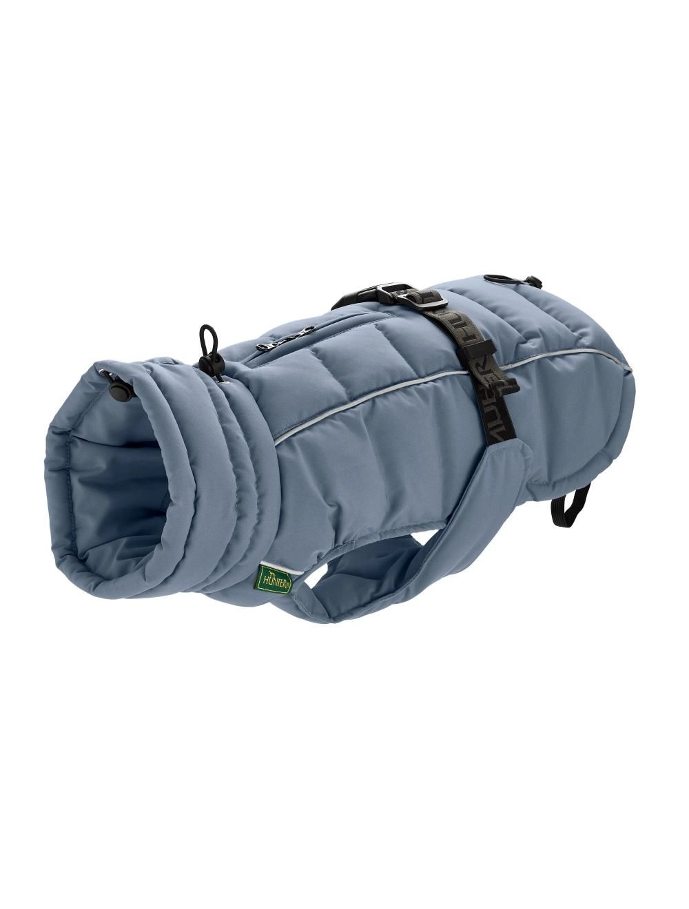 Hunter - Dogcoat Paxson Dachshund 33