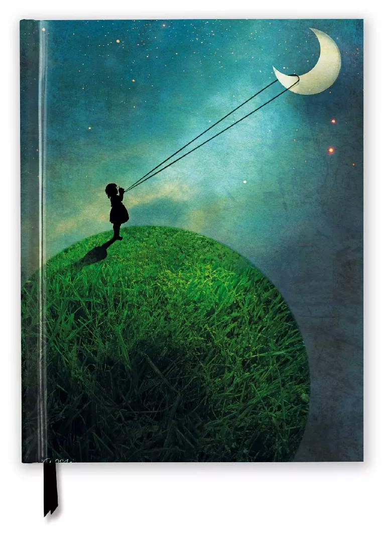ISBN Catrin Welz-Stein: Chasing the Moon