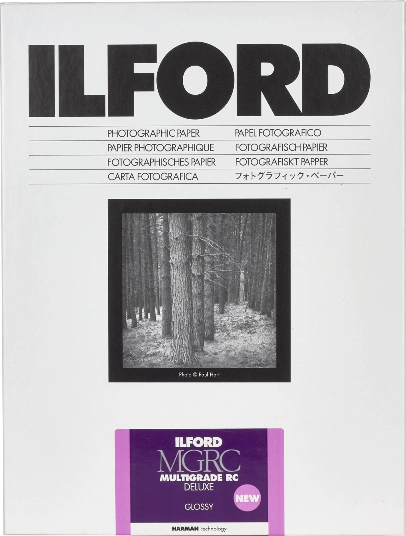 1x100 Ilford MG RC DL 1M