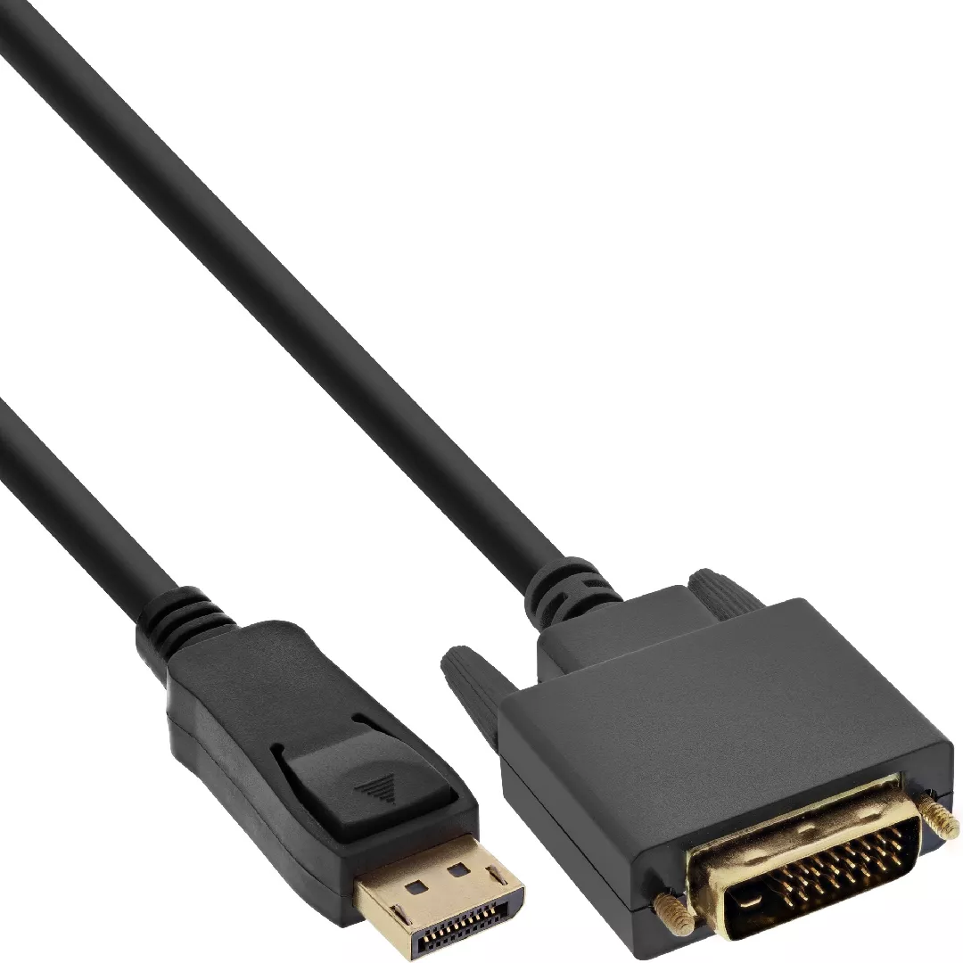 InLine DisplayPort to DVI converter cable