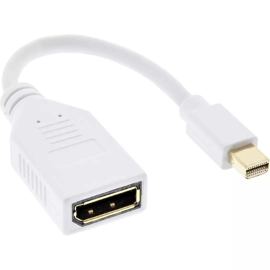 InLine Mini DisplayPort male to DisplayPort