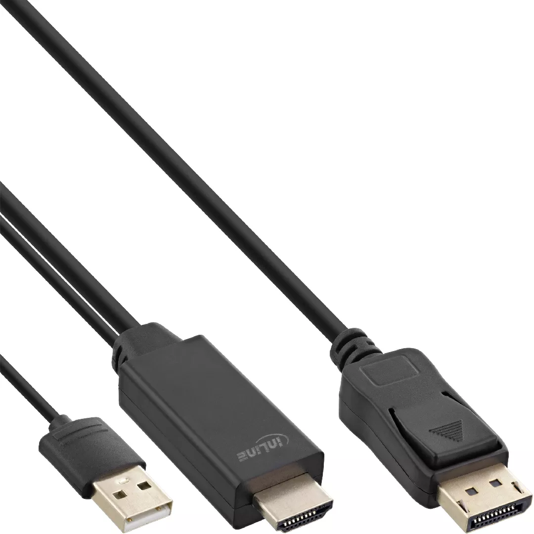 InLine HDMI to DisplayPort Converter Cable