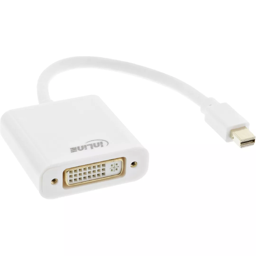 InLine Mini DisplayPort male / DVI-D