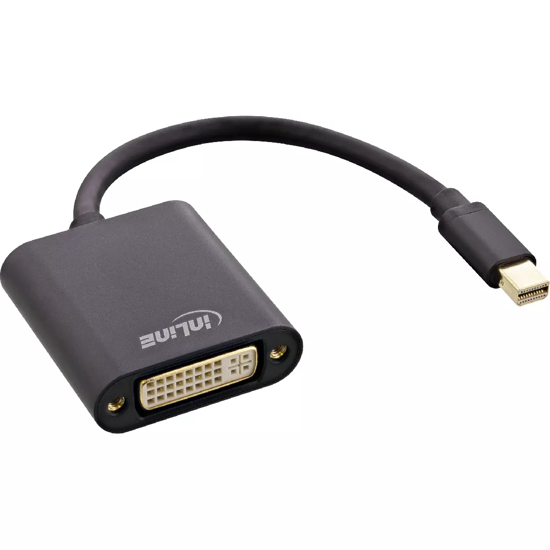 InLine Mini DisplayPort male / DVI-D