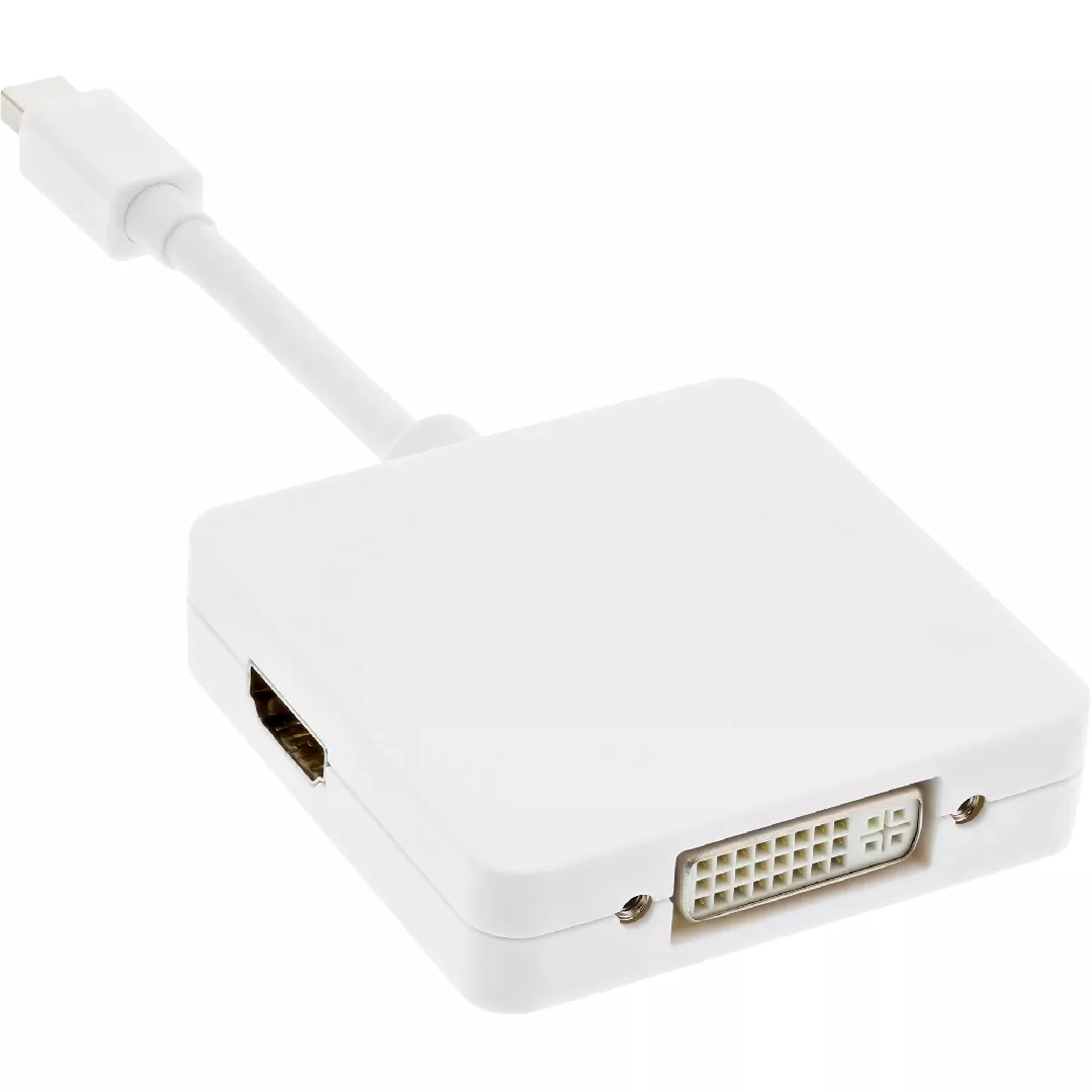 InLine Mini DisplayPort to HDMI /