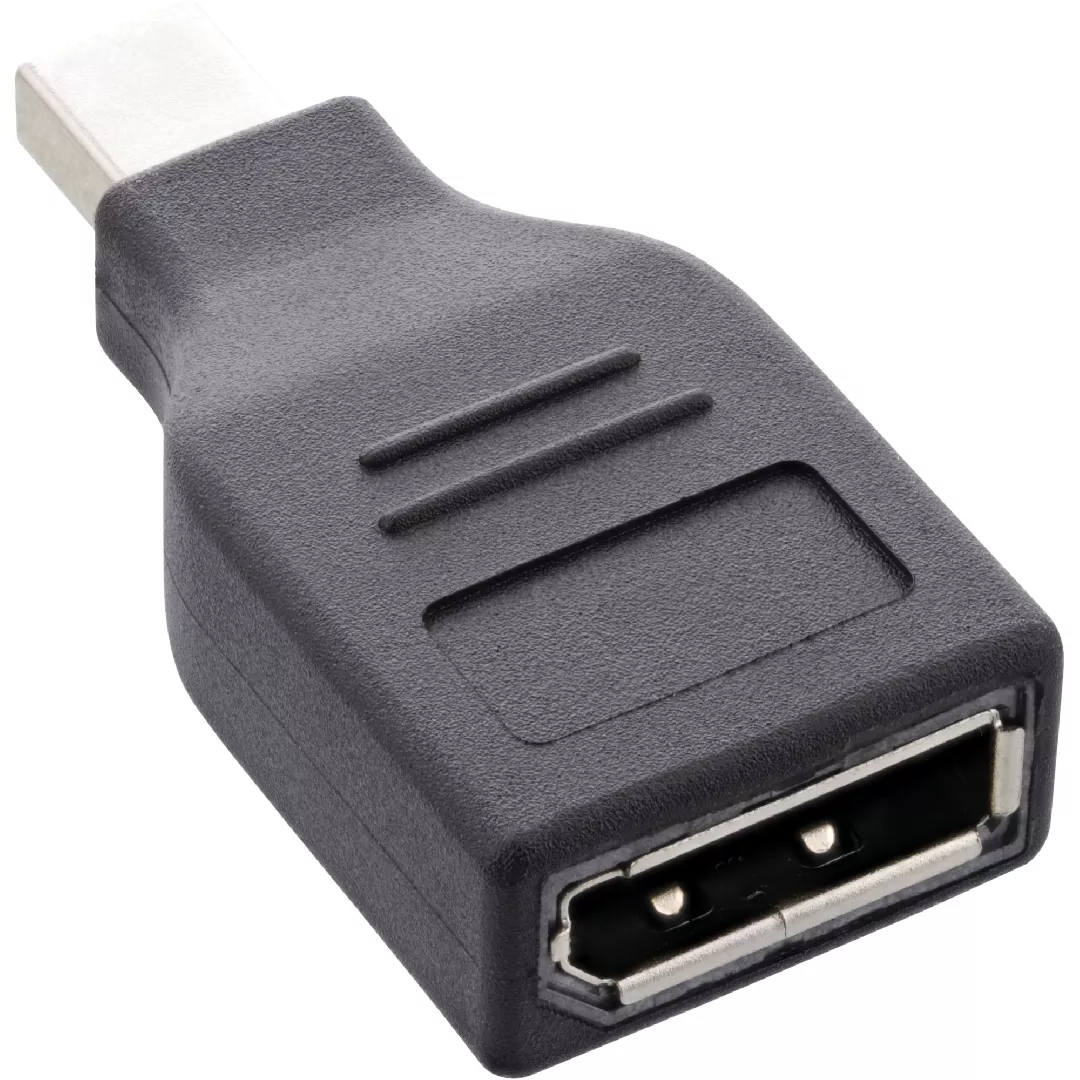 InLine DisplayPort Adapter mini DisplayPort male