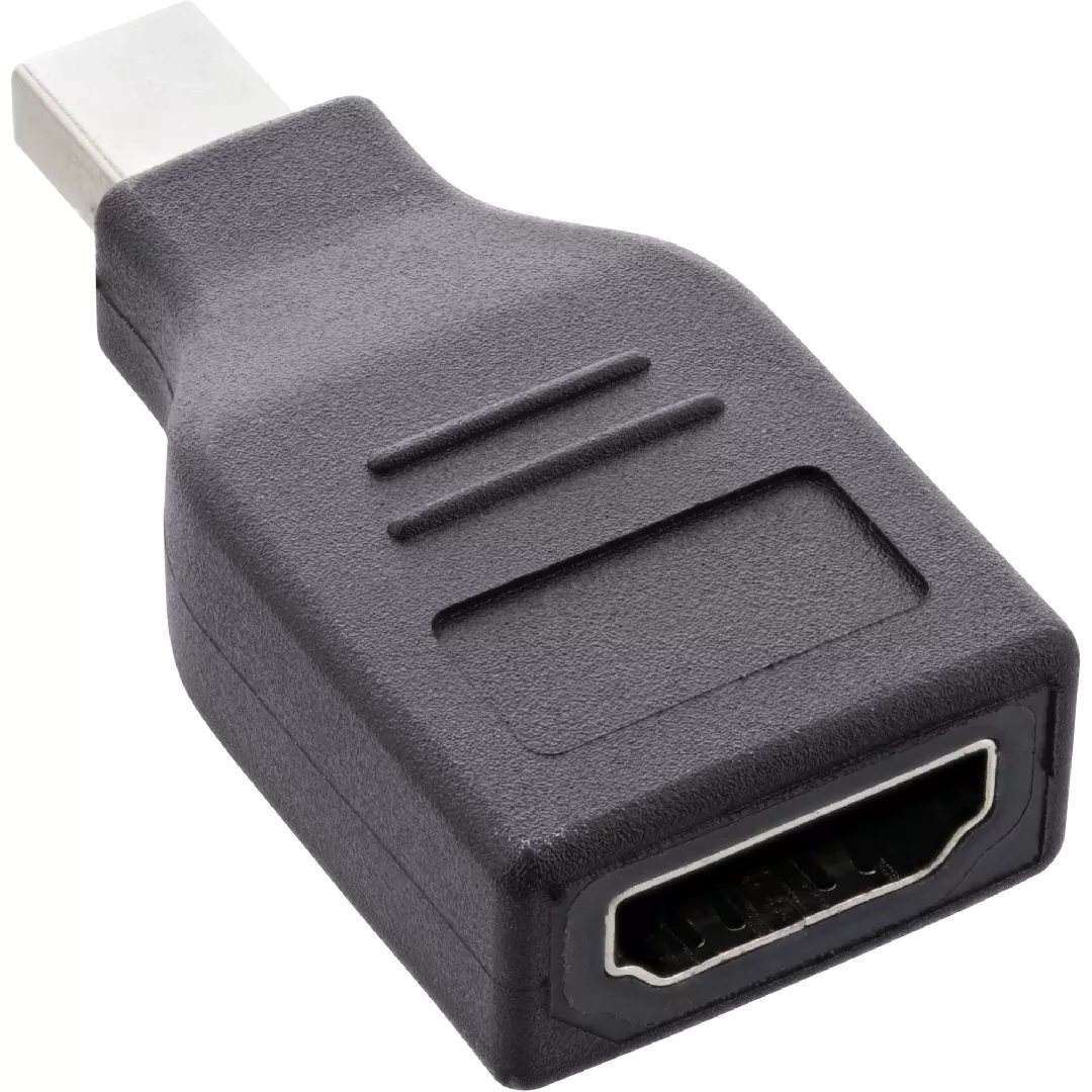 InLine DisplayPort Converter mini DisplayPort male