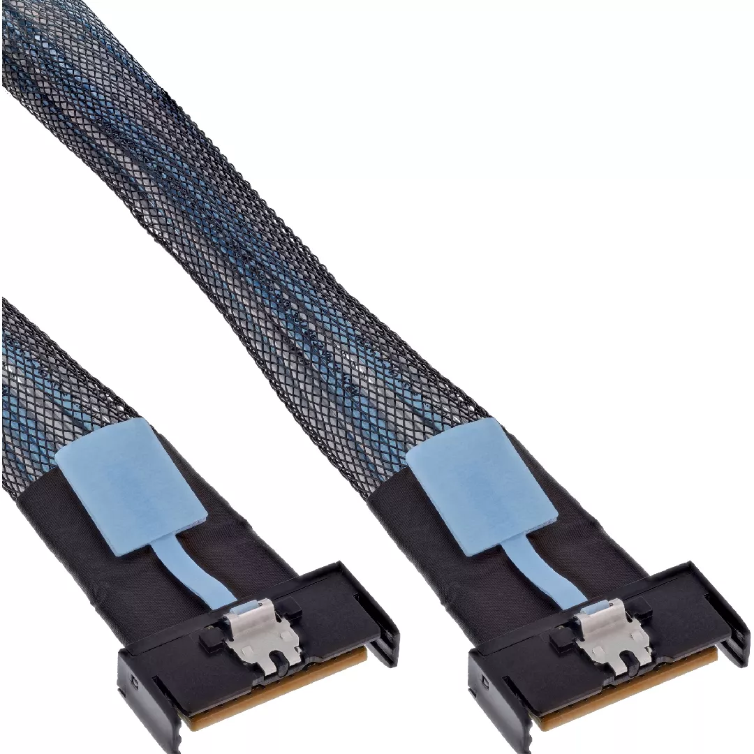 InLine 27661C Serial Attached SCSI (SAS)