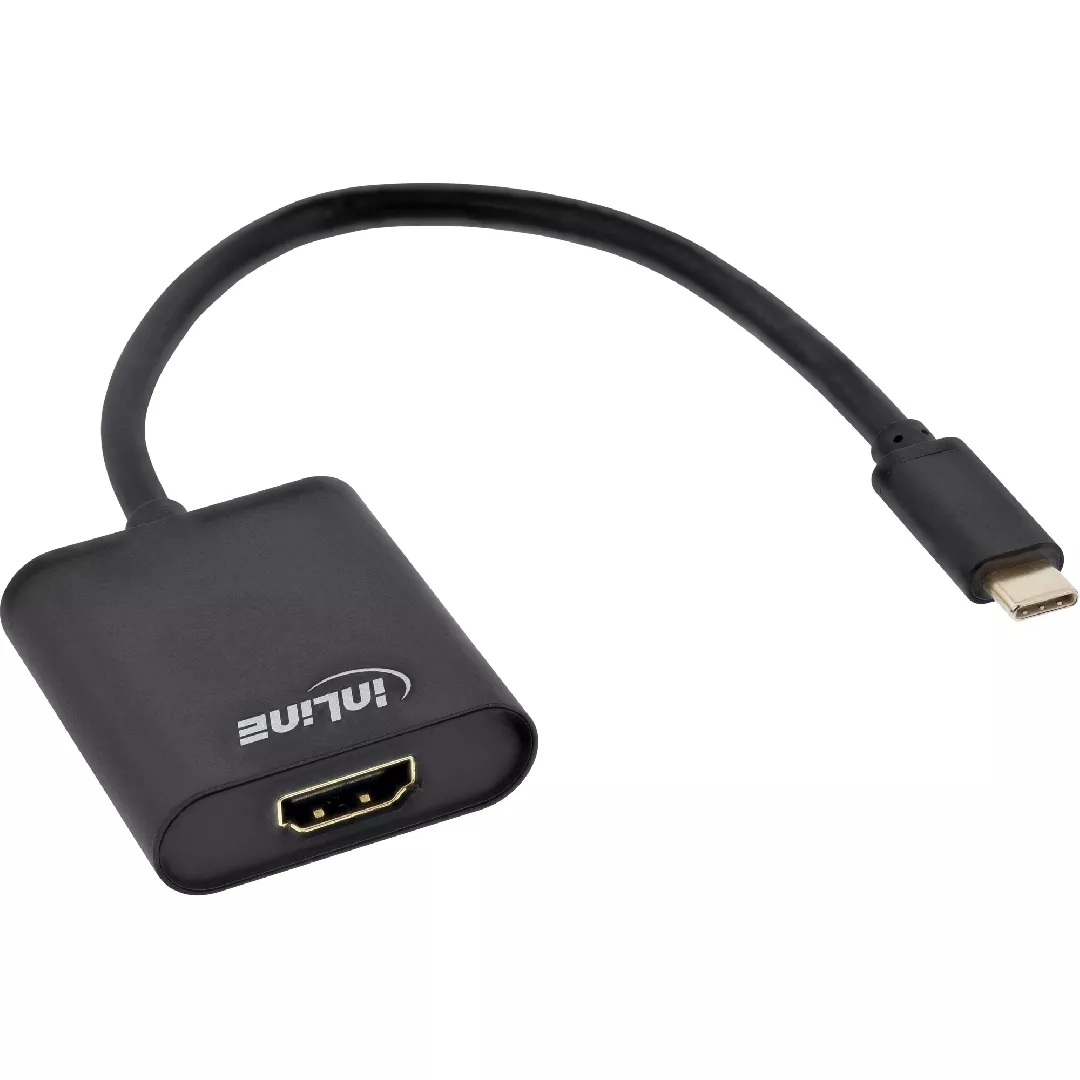 InLine USB Display converter USB-C male