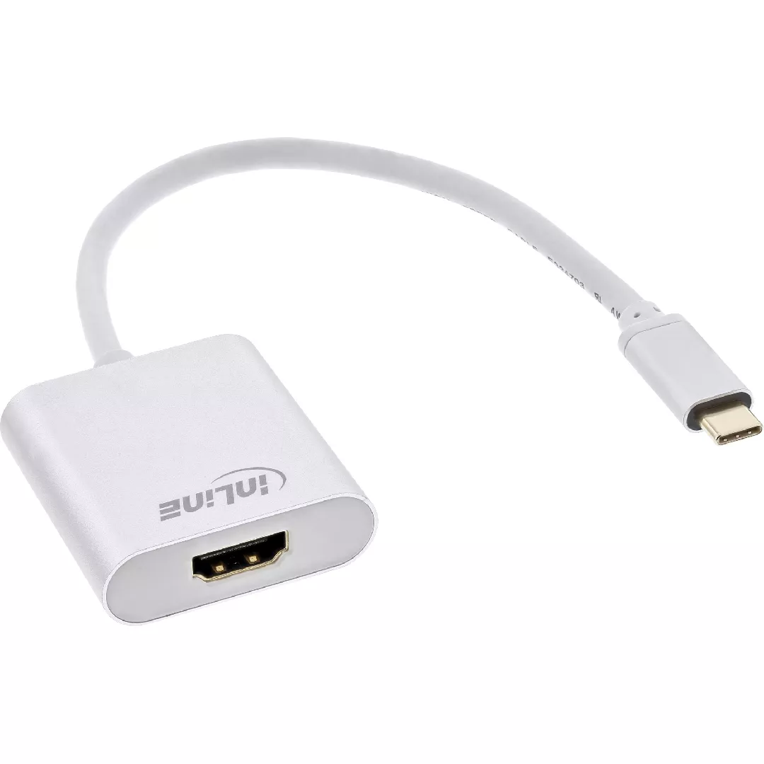 InLine USB Display converter  USB-C male