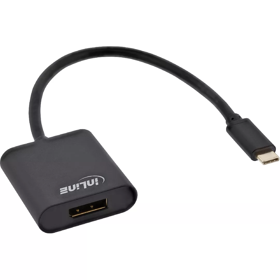 InLine USB Display converter  USB-C male