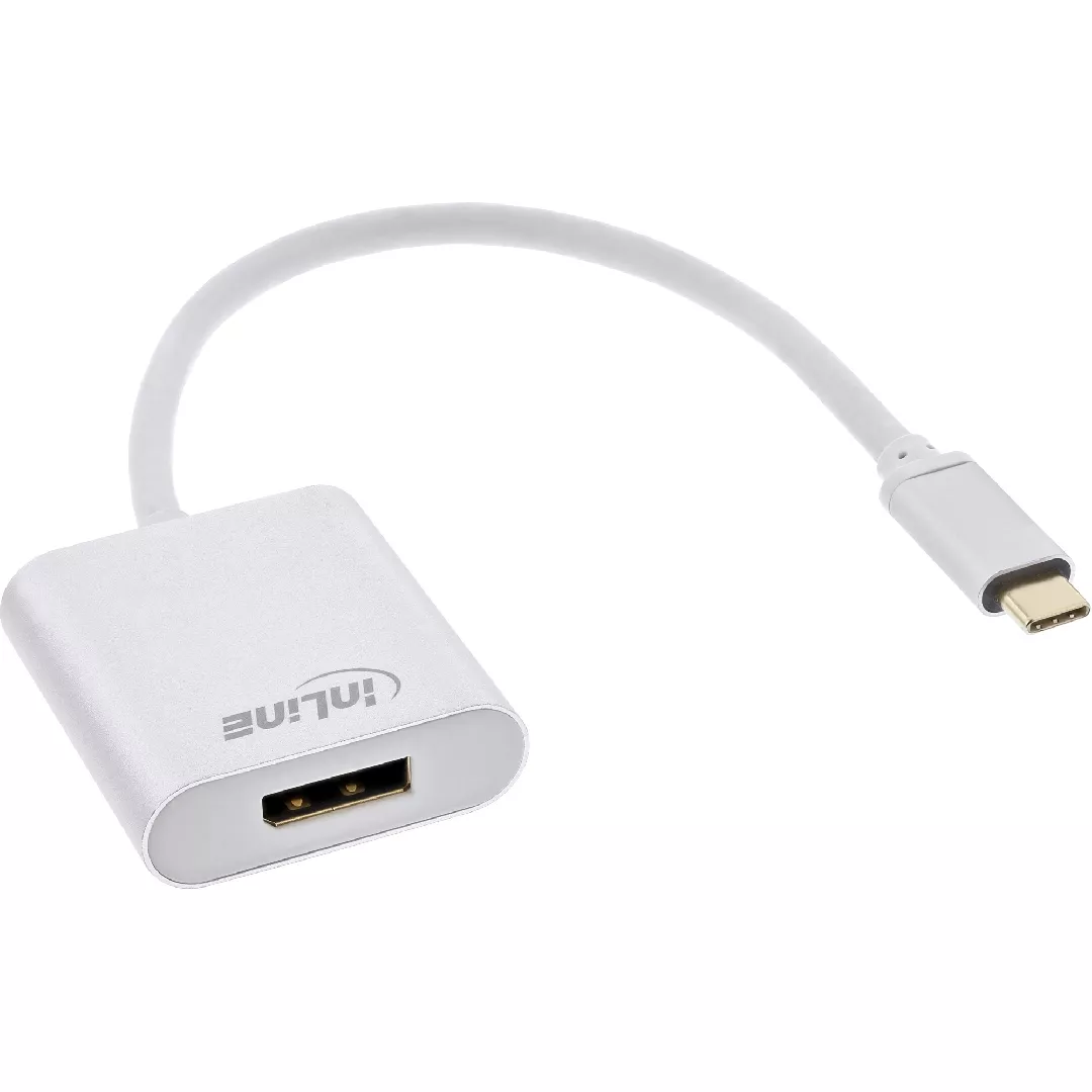 InLine USB Display converter  USB-C male