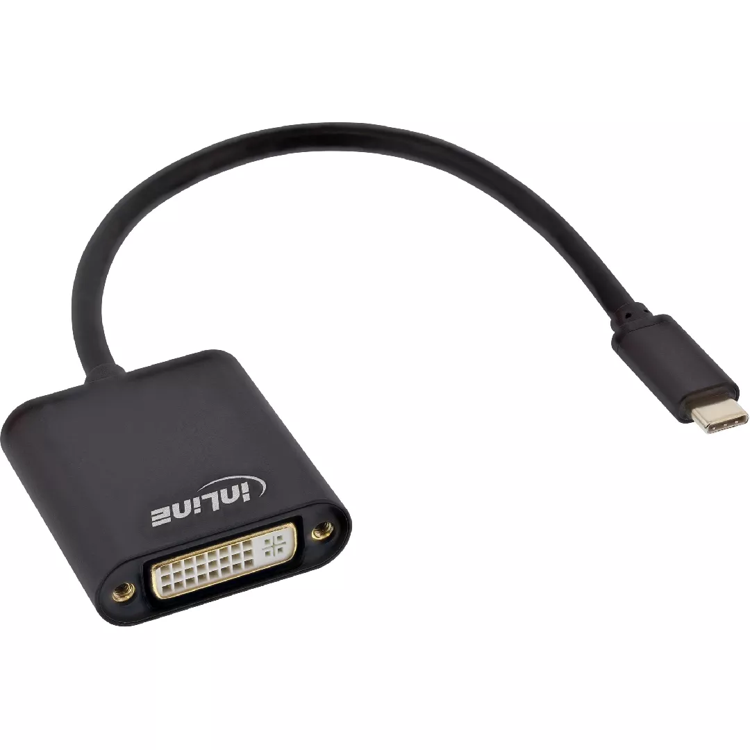 InLine USB Display converter USB-C male