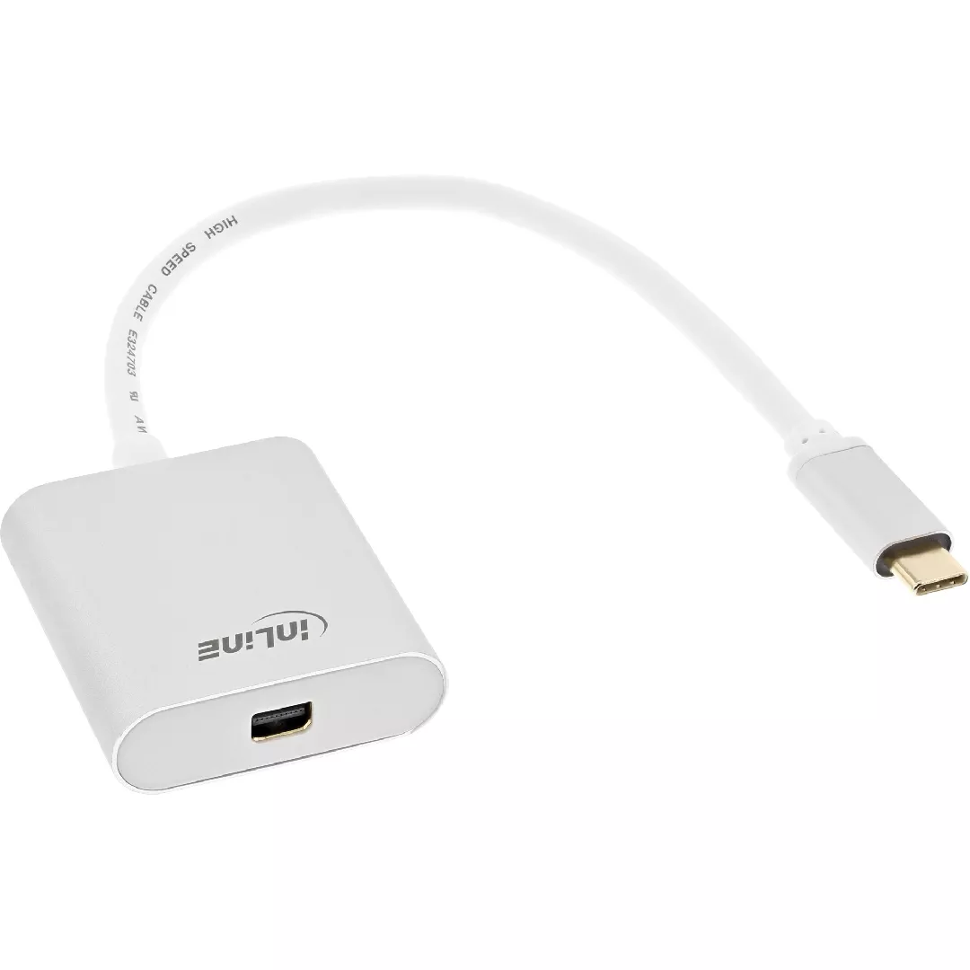 InLine USB Display converter USB-C male