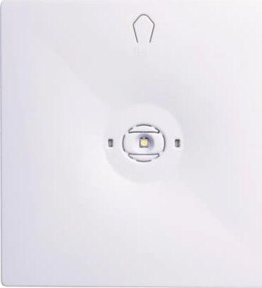 Intelight Emergency eye N/T Starlet QUAD
