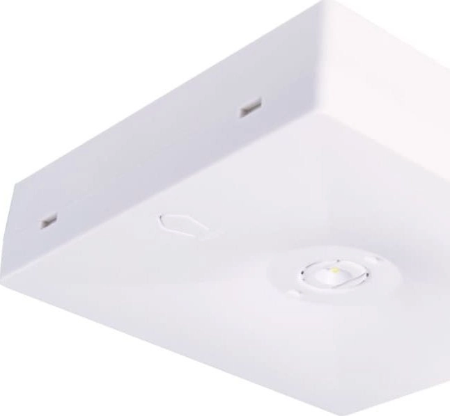 Intelight Emergency eye N/T Starlet QUAD