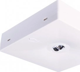 Intelight Surface-mounted emergency luminaire STARLET QUAD
